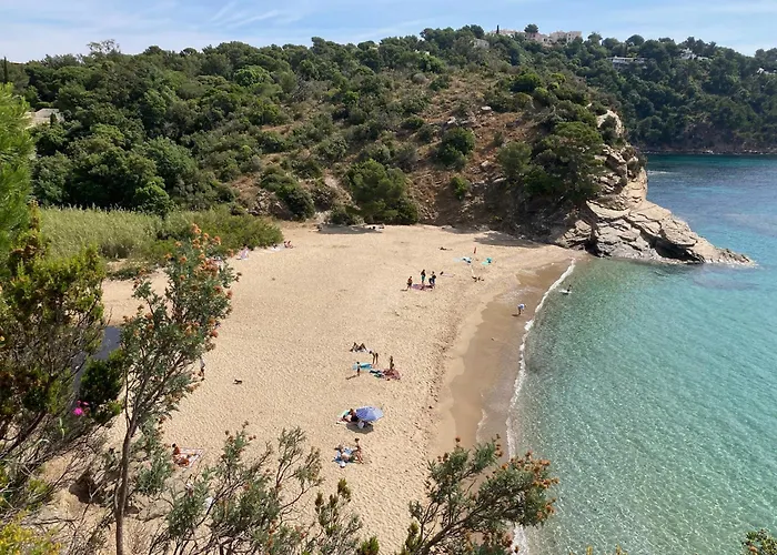 Enjoy كافالير سور مير